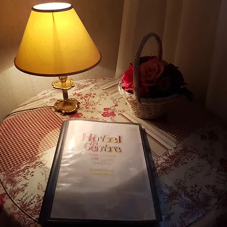 فندق Du Centre *